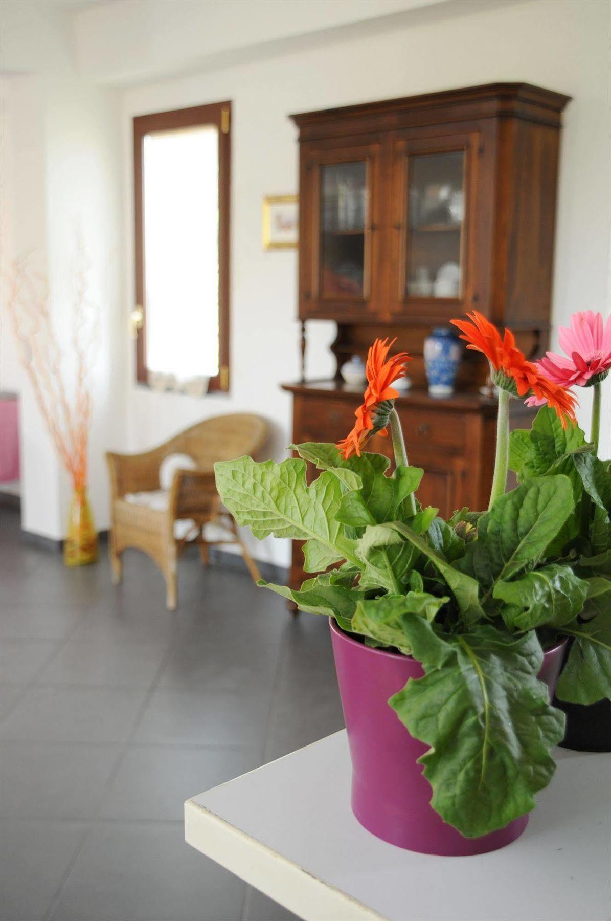 La Circumetnea Home Катания Экстерьер фото